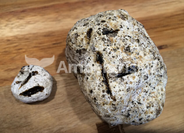 How to Identify AMBERGRIS | Ambergris New Zealand | We Buy and Sell